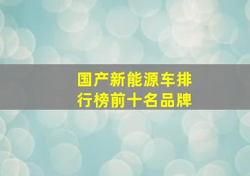 国产新能源车排行榜前十名品牌