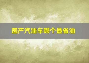 国产汽油车哪个最省油