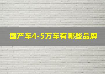 国产车4-5万车有哪些品牌