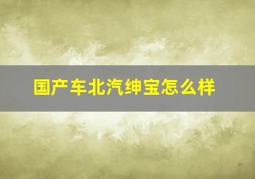 国产车北汽绅宝怎么样