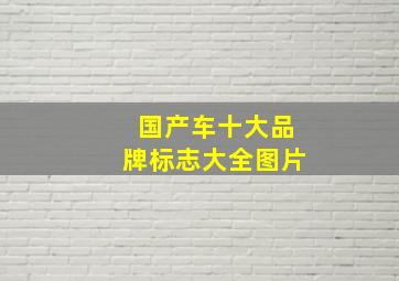 国产车十大品牌标志大全图片