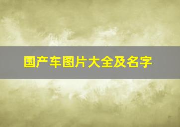 国产车图片大全及名字