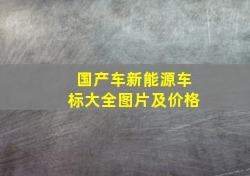 国产车新能源车标大全图片及价格