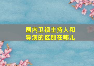 国内卫视主持人和导演的区别在哪儿