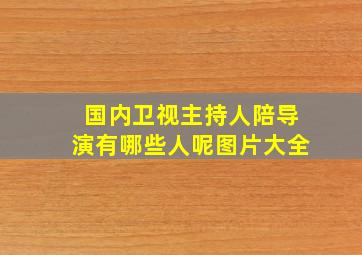 国内卫视主持人陪导演有哪些人呢图片大全