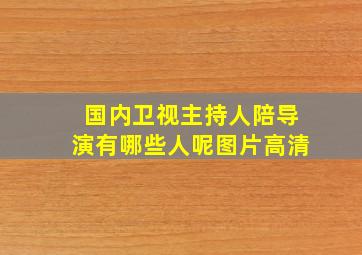 国内卫视主持人陪导演有哪些人呢图片高清