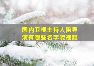 国内卫视主持人陪导演有哪些名字呢视频