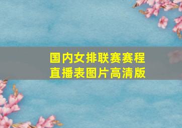 国内女排联赛赛程直播表图片高清版