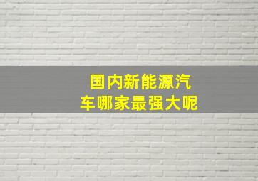 国内新能源汽车哪家最强大呢