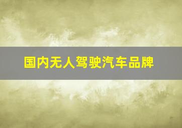 国内无人驾驶汽车品牌