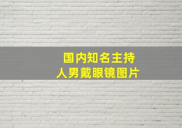 国内知名主持人男戴眼镜图片