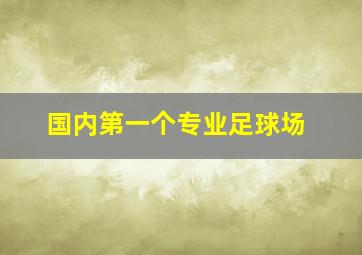 国内第一个专业足球场