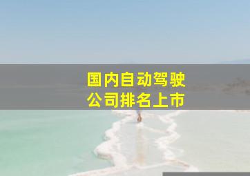 国内自动驾驶公司排名上市