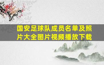 国安足球队成员名单及照片大全图片视频播放下载