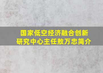 国家低空经济融合创新研究中心主任敖万忠简介