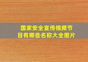 国家安全宣传视频节目有哪些名称大全图片