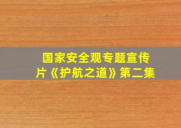 国家安全观专题宣传片《护航之道》第二集