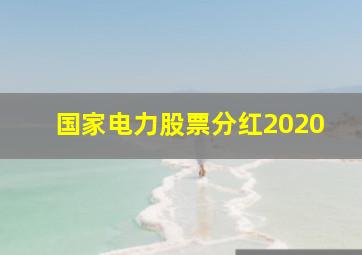 国家电力股票分红2020