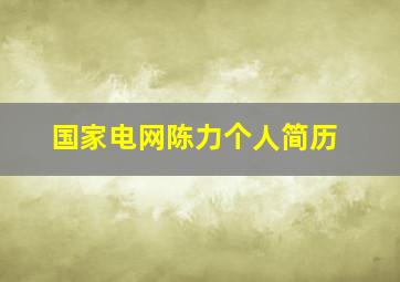 国家电网陈力个人简历