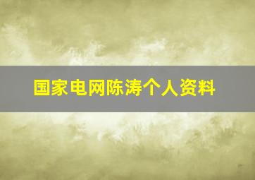 国家电网陈涛个人资料