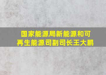 国家能源局新能源和可再生能源司副司长王大鹏