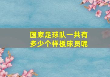 国家足球队一共有多少个样板球员呢