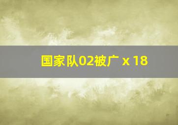 国家队02被广ⅹ18