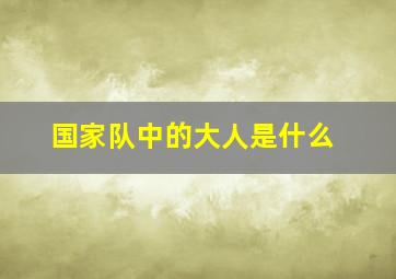 国家队中的大人是什么