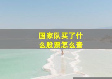 国家队买了什么股票怎么查