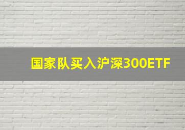 国家队买入沪深300ETF