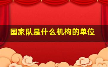 国家队是什么机构的单位