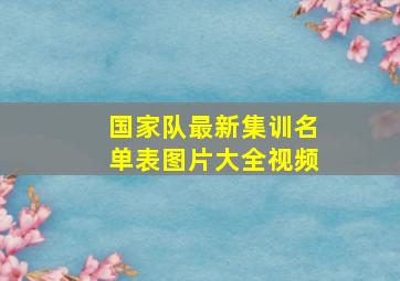 国家队最新集训名单表图片大全视频