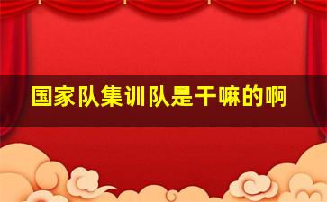 国家队集训队是干嘛的啊