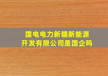 国电电力新疆新能源开发有限公司是国企吗