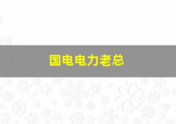 国电电力老总