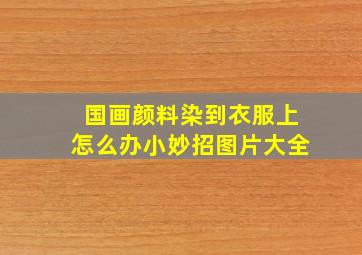 国画颜料染到衣服上怎么办小妙招图片大全