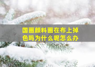 国画颜料画在布上掉色吗为什么呢怎么办