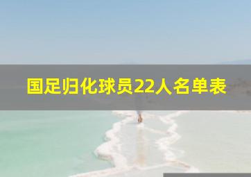 国足归化球员22人名单表