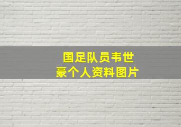 国足队员韦世豪个人资料图片