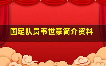 国足队员韦世豪简介资料