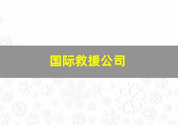 国际救援公司