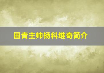 国青主帅扬科维奇简介