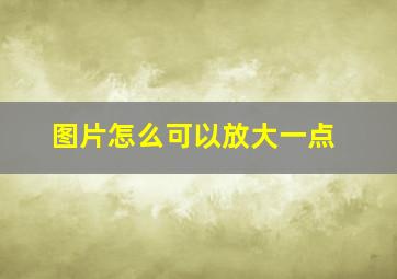 图片怎么可以放大一点