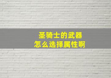 圣骑士的武器怎么选择属性啊