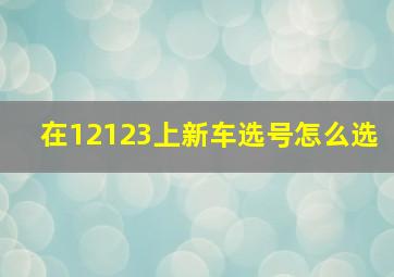 在12123上新车选号怎么选