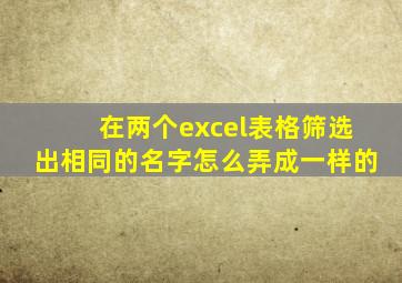 在两个excel表格筛选出相同的名字怎么弄成一样的