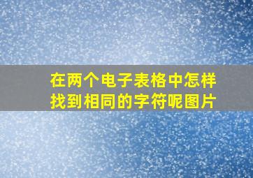 在两个电子表格中怎样找到相同的字符呢图片