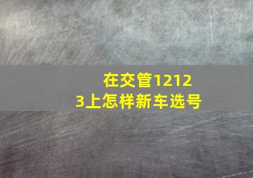 在交管12123上怎样新车选号