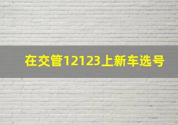 在交管12123上新车选号