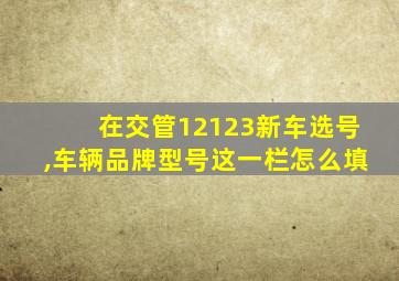 在交管12123新车选号,车辆品牌型号这一栏怎么填